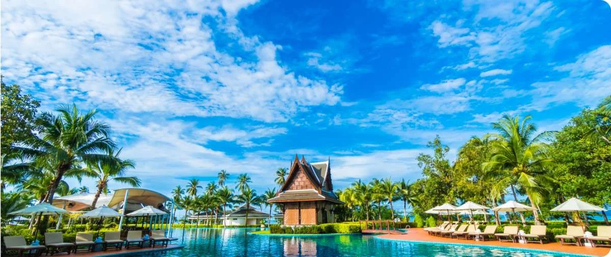 Flight Deals