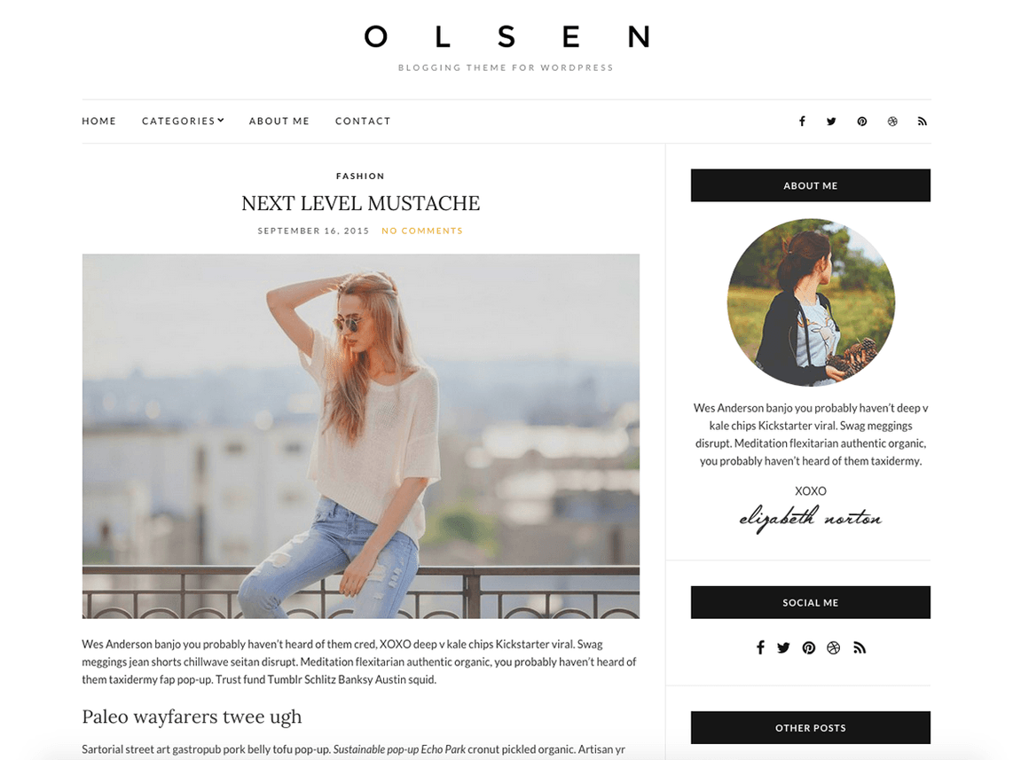 Olsen-Light : Free WordPress Blog Themes
