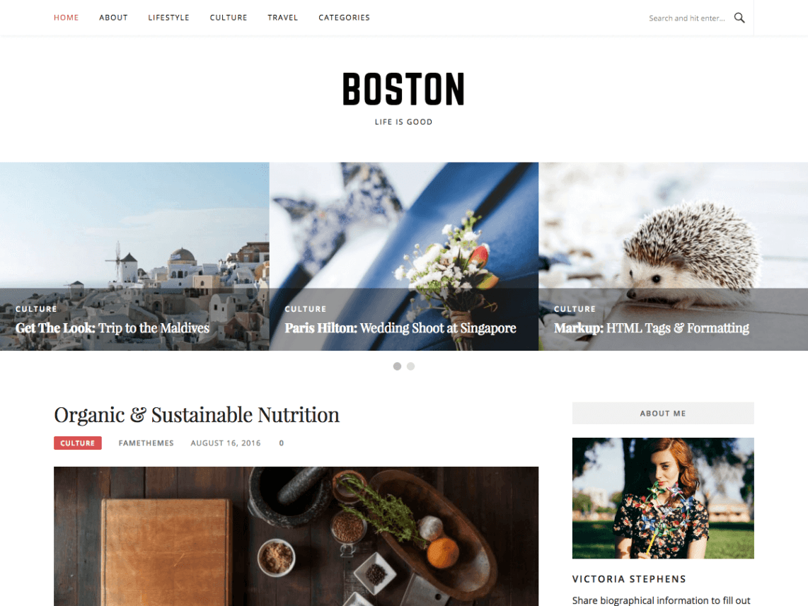 boston : Free WordPress Blog Themes
