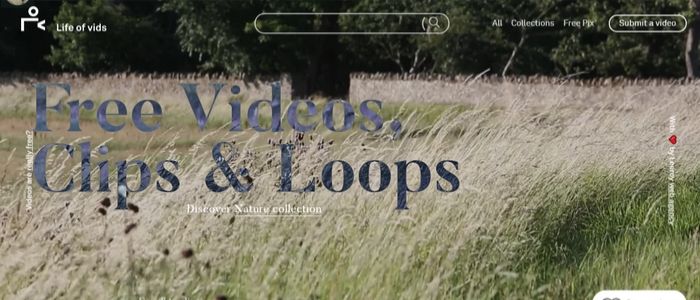 life of vids - Free Stock Video Sites