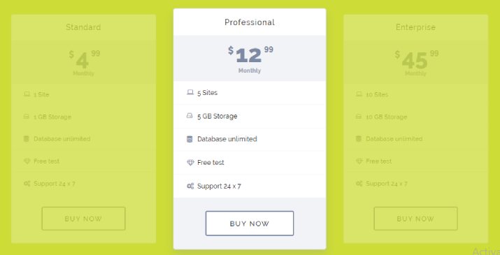 Best Pricing Table