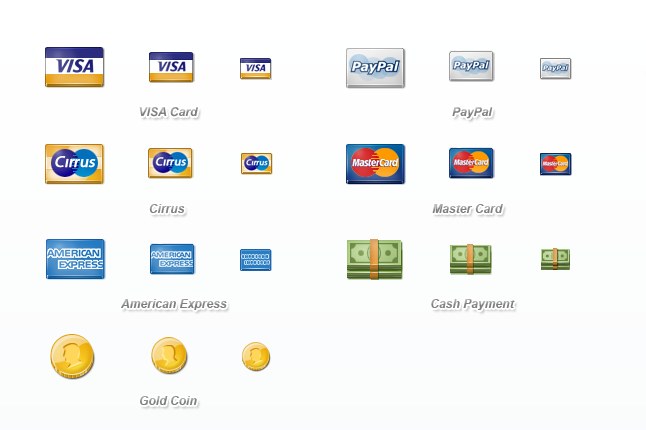 Payment Icon Set