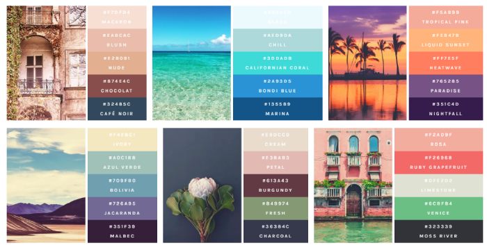 Color palettes with Flexbox