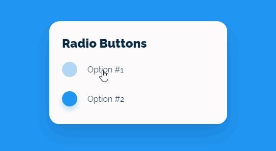 Switching Radio Button Interaction Animation