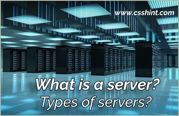 What is a server? Types of servers