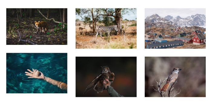 Bootstrap HTML Image Gallery Grid System