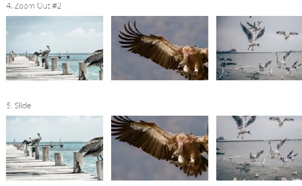 CSS image hover effects