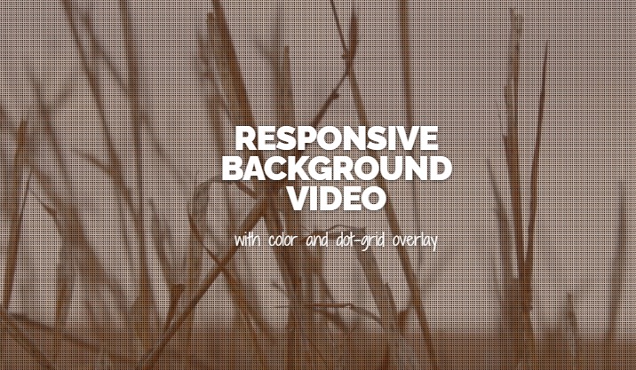 Responsive Background Video (2)