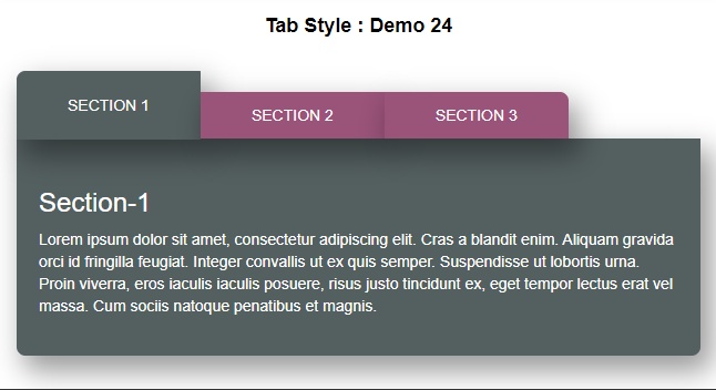 Tab Style Demo 24